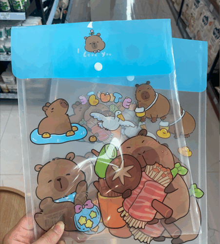 Túi Clear dọc - Cái