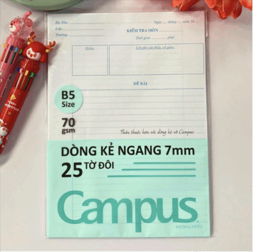 Giấy kiểm tra kẻ ngang - Túi