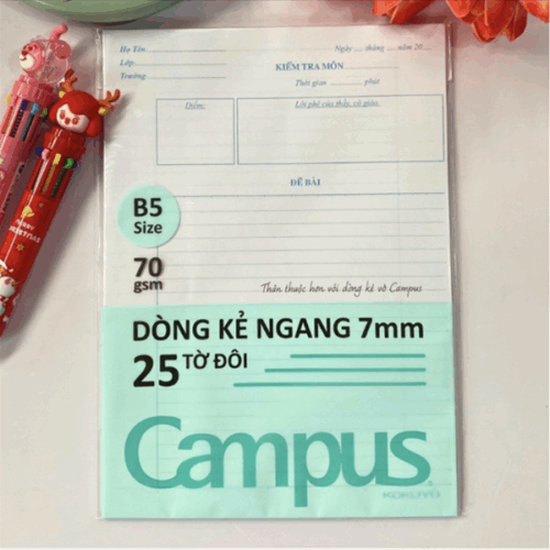 Giấy kiểm tra kẻ ngang - Túi